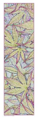 Beauty of Flowers No.7: Maple. Limited Edition Giclée print.